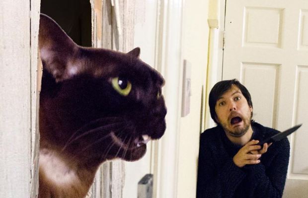 moviecats-the-shining