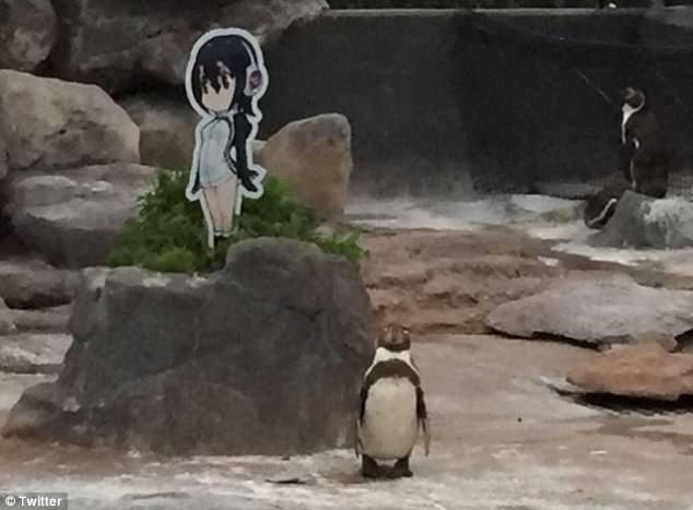 企鹅恋人